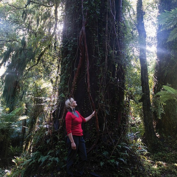 Woman standing next to ancient tree